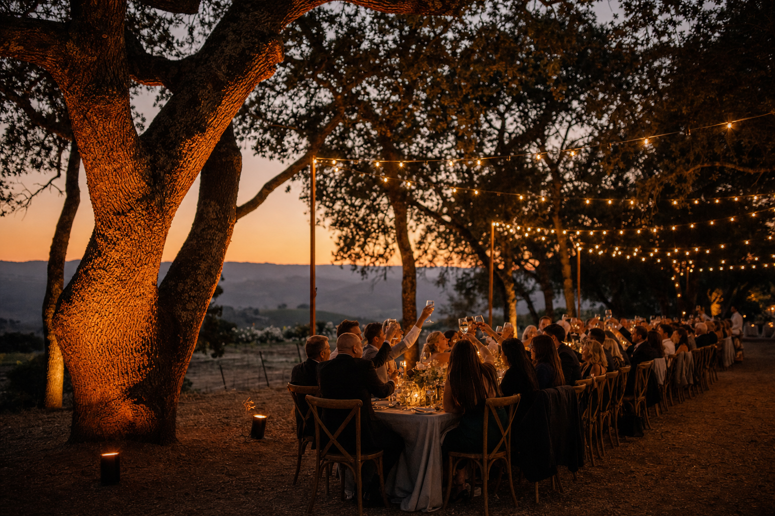 Oak grove estate wedding at sunset with warm bistro string lights overhead and amber uplighting on heritage oak tree trunks, golden hour sky in background