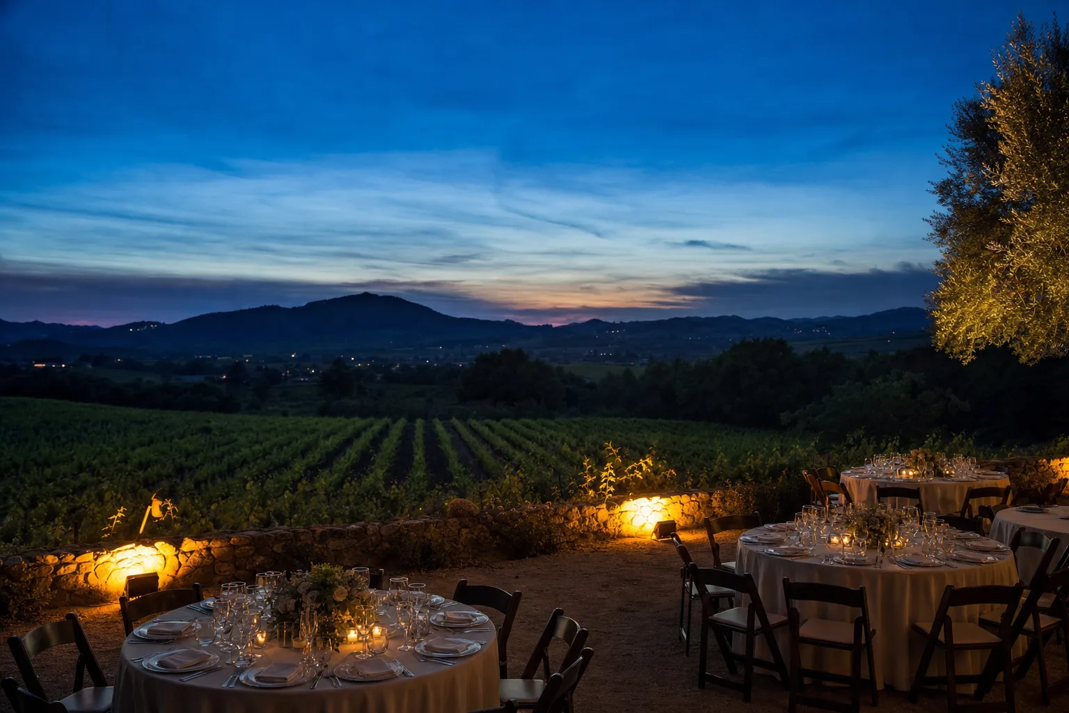 Illustration of an open vineyard terrace at dusk with round dinner tables, warm amber uplights at the edge of the terrace and grape rows in the background